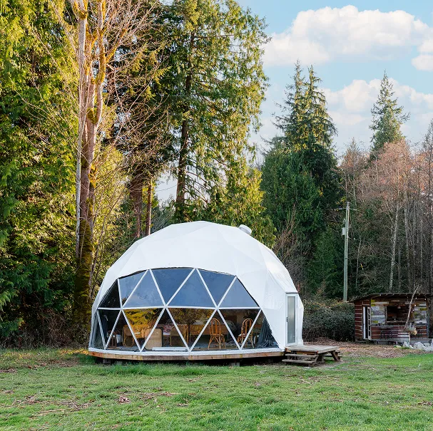 Dome at Night (5)